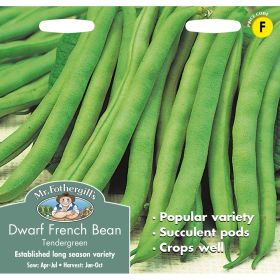 Dwarf French Bean Tendergreen Seeds